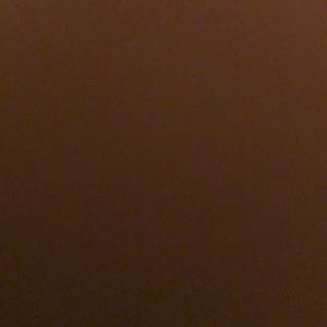 Meet your Posher, Shayla